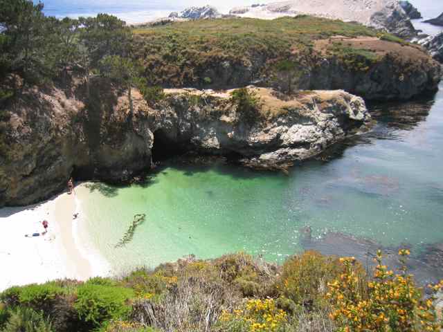 Rugged California Coast